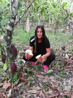 kakaobaum